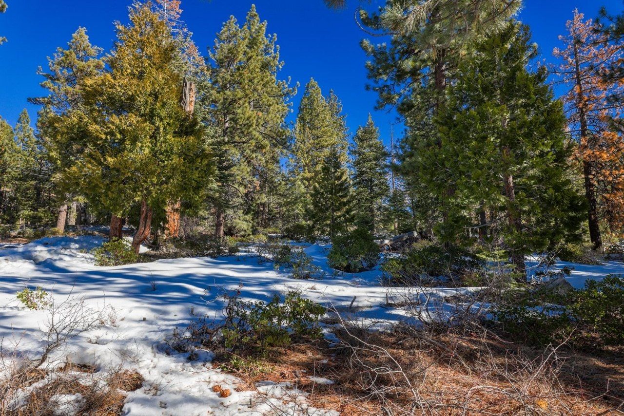 3100 North Lake Boulevard, Tahoe City, CA 96145 Photo