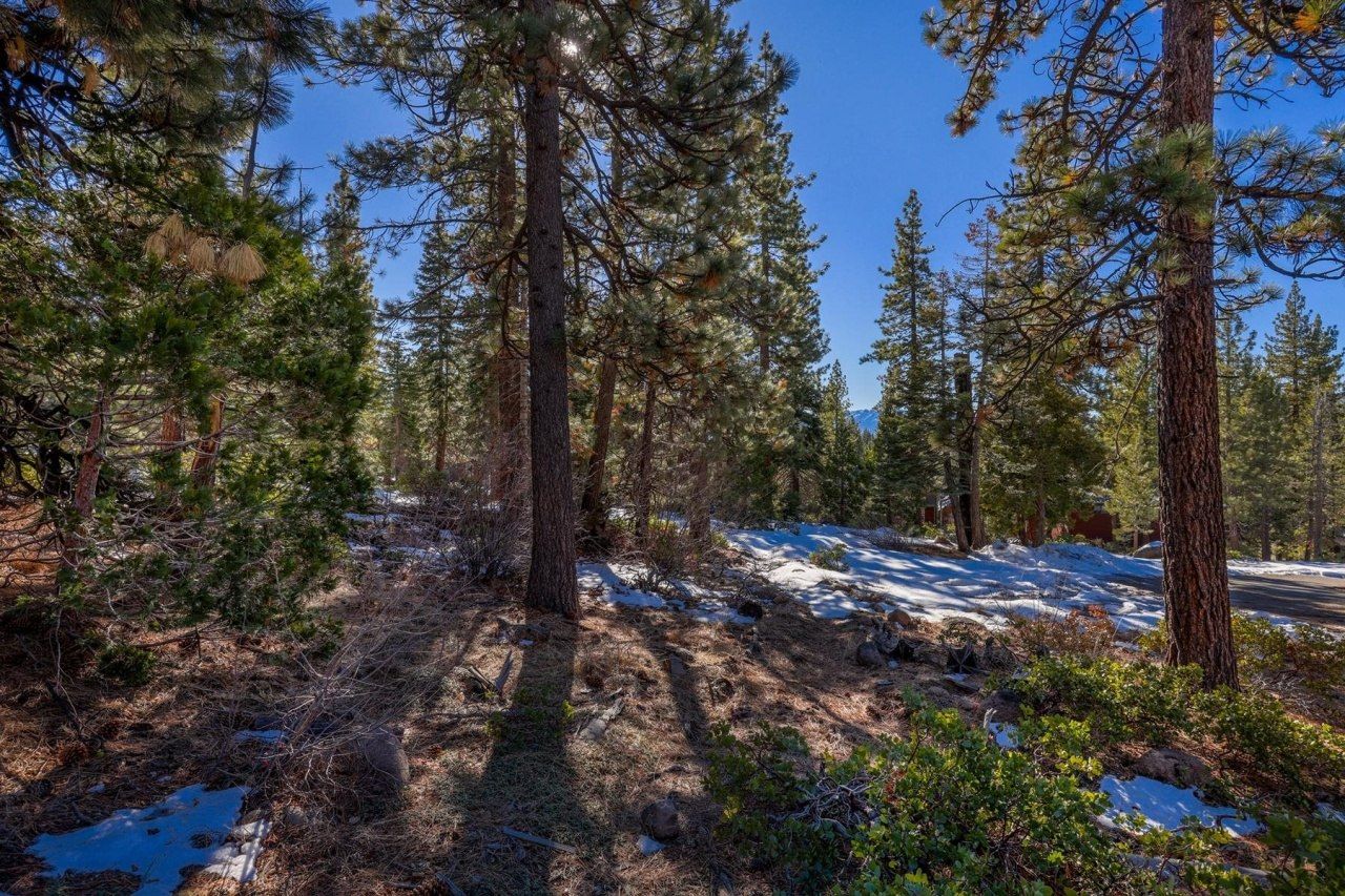 3100 North Lake Boulevard, Tahoe City, CA 96145 Photo