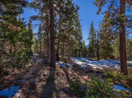 3100 North Lake Boulevard, Tahoe City, CA 96145 Photo