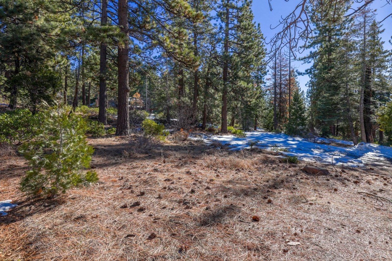 3100 North Lake Boulevard, Tahoe City, CA 96145 Photo