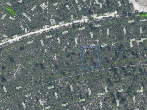 6456 Cotorro Drive, Sebring, FL 33872