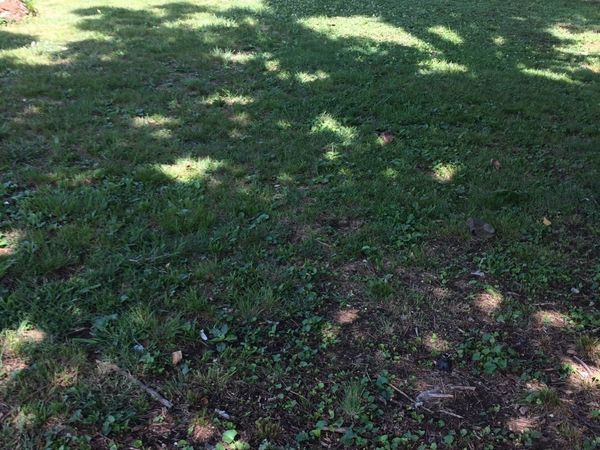 2147 18th Ave N, Nashville, TN 37208