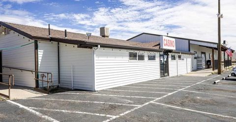 3900 Carter Way, Wellington, NV 89444 Photo