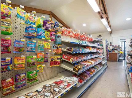 3900 Carter Way, Wellington, NV 89444 Photo