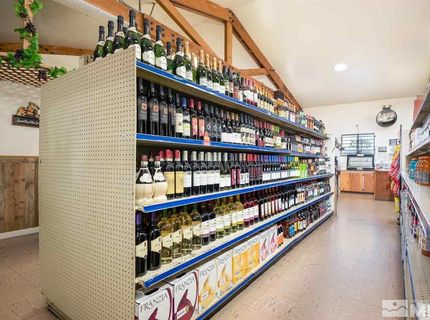 3900 Carter Way, Wellington, NV 89444 Photo