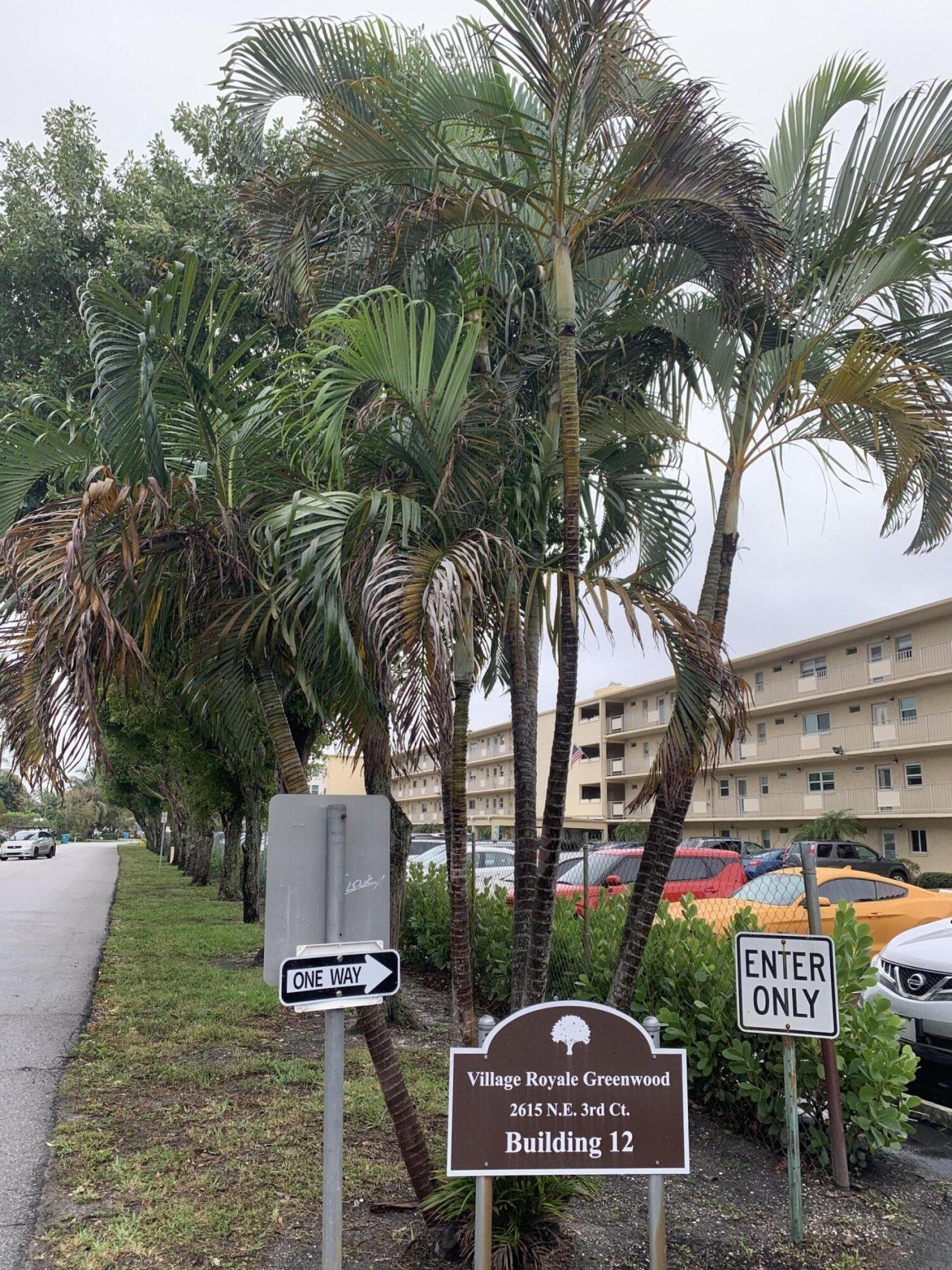 2615 NE 3rd Court, Unit 317, Boynton Beach, FL 33435 Photo