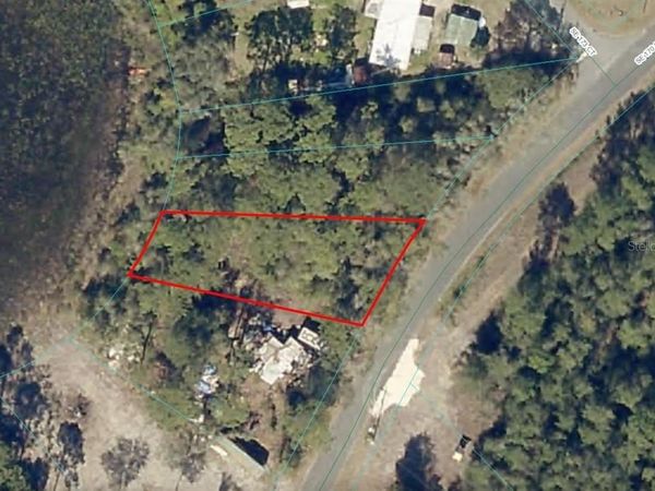 6954 SE 170TH AVENUE ROAD, OCKLAWAHA, FL 32179