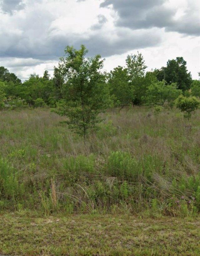 Tbd NW 5th Street, Ocala, FL 34482 Main Photo