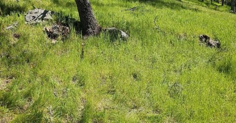 4740 Glory View Dr, Placerville, CA 95667 Photo