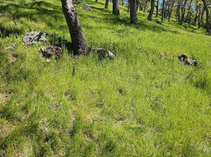 4740 Glory View Dr, Placerville, CA 95667 Photo