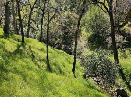 4740 Glory View Dr, Placerville, CA 95667 Photo