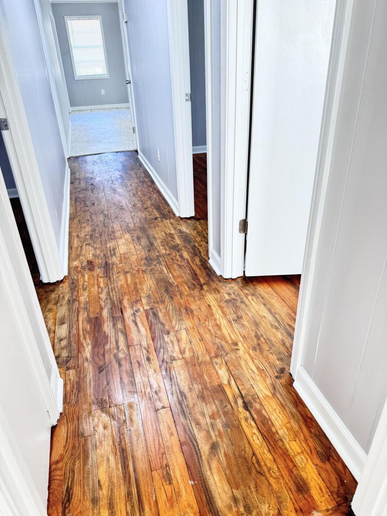 348 Cleveland Street Photo 17
