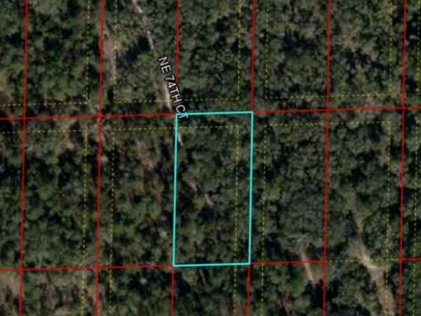 0 Bronson, FL, Bronson, FL 32621