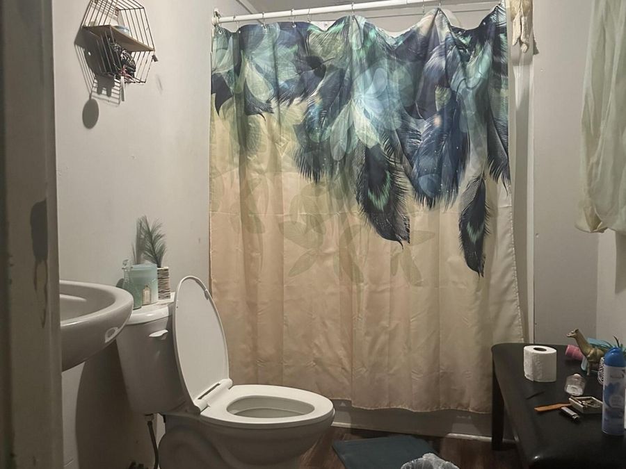 Property Image 44