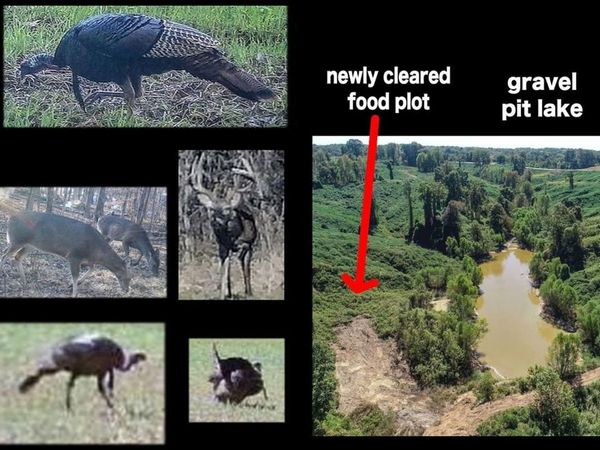 173 Cascilla Road - Holcolmb - Tallahatchie County, Other, MS 38920