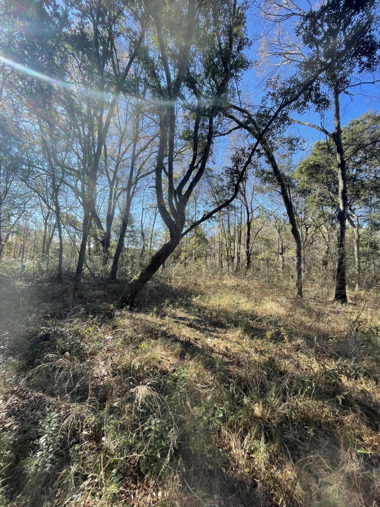 00 N Hwy 17 Photo 11