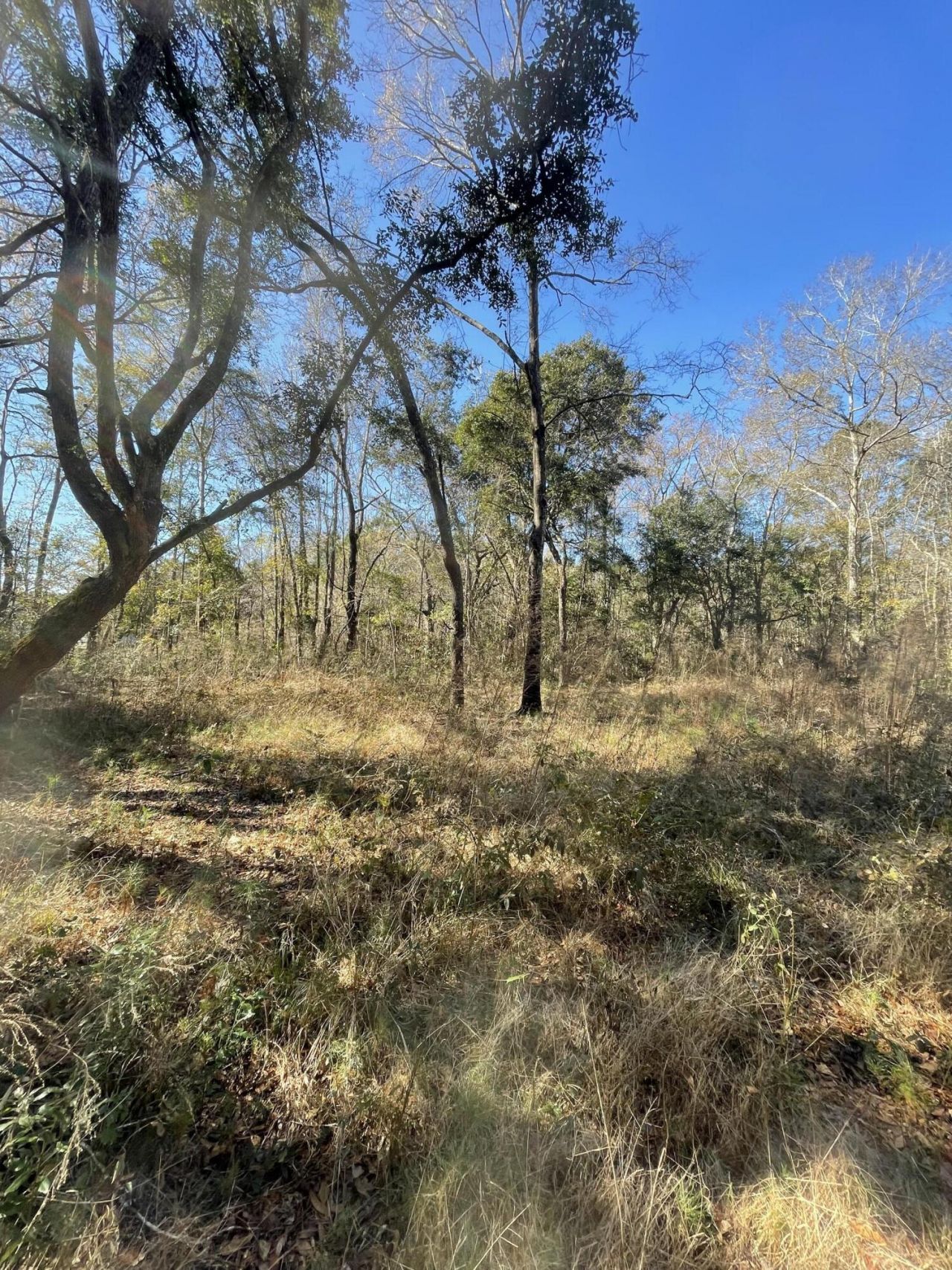 00 N Hwy 17 Photo 12