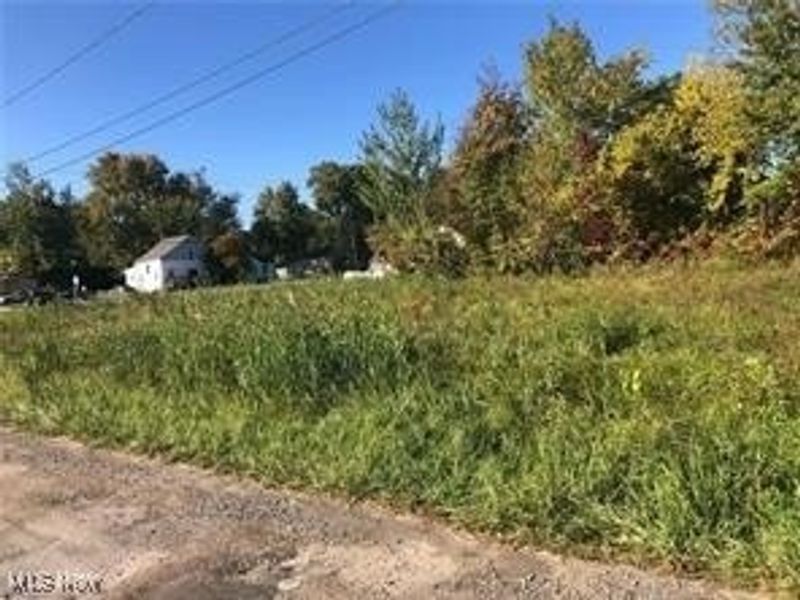 V/L N Ridge Road E, Lorain, OH 44055 Photo 3