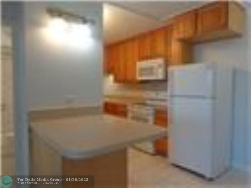 200 S Birch, Unit 1102, Fort Lauderdale, FL 33316 Photo
