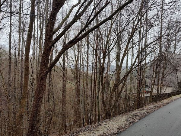 35 Bay View Dr, Lancaster, TN 38569