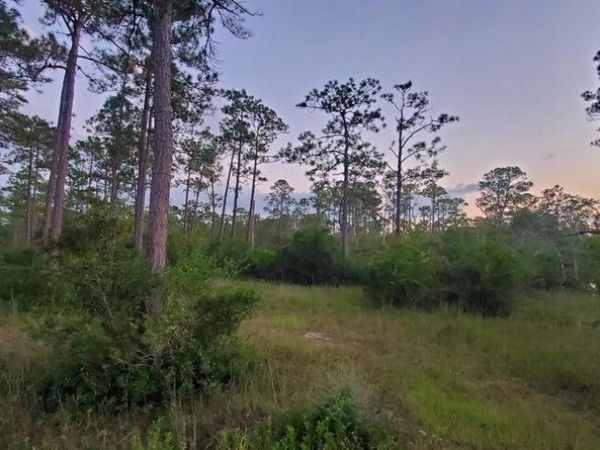 8317 Highway 57, Vancleave, MS 39565