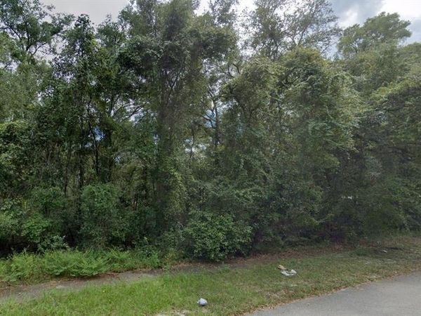 NW 84TH TERRACE, FANNING SPRINGS, FL 32693
