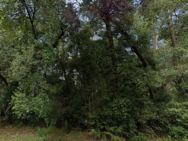 NW 84TH TERRACE, FANNING SPRINGS, FL 32693