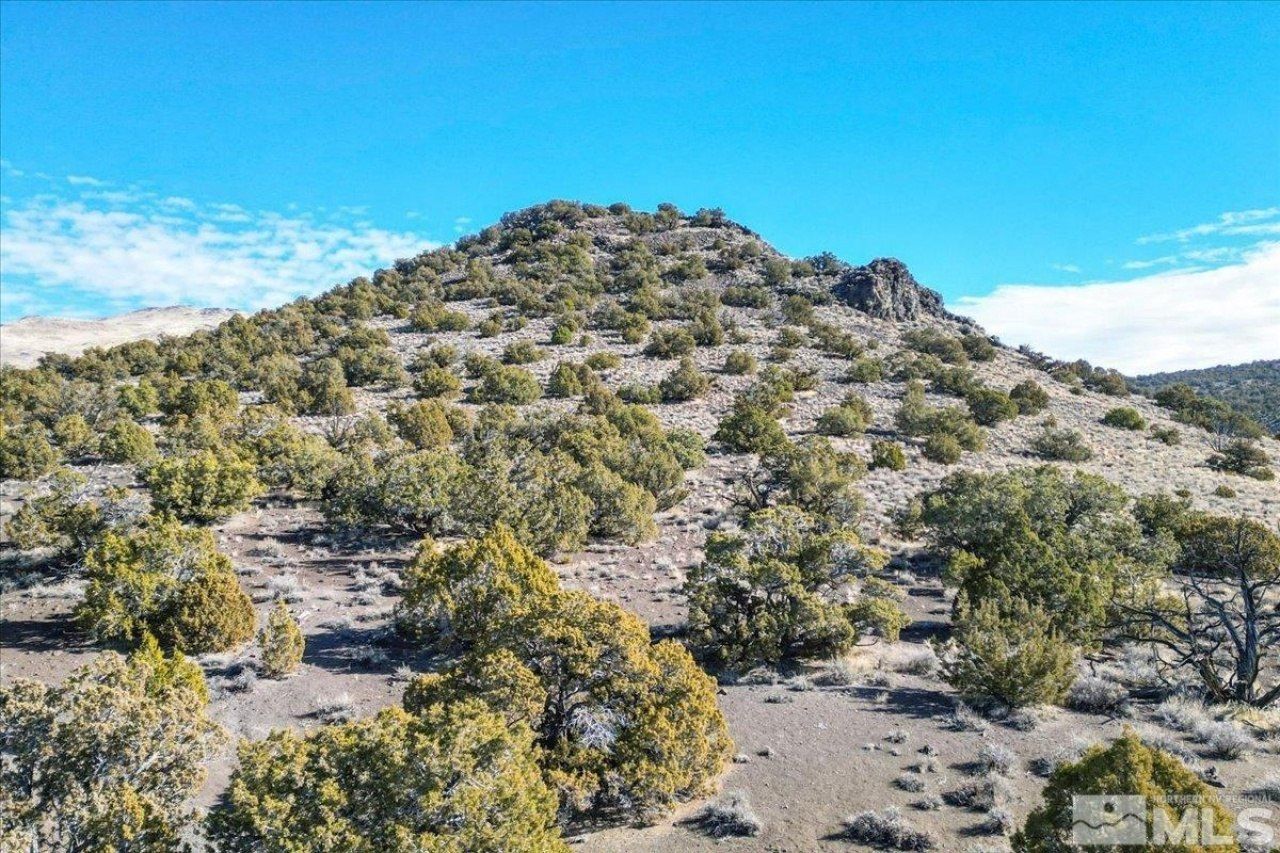 4 Ansari Lane, Reno, NV 89510 Photo