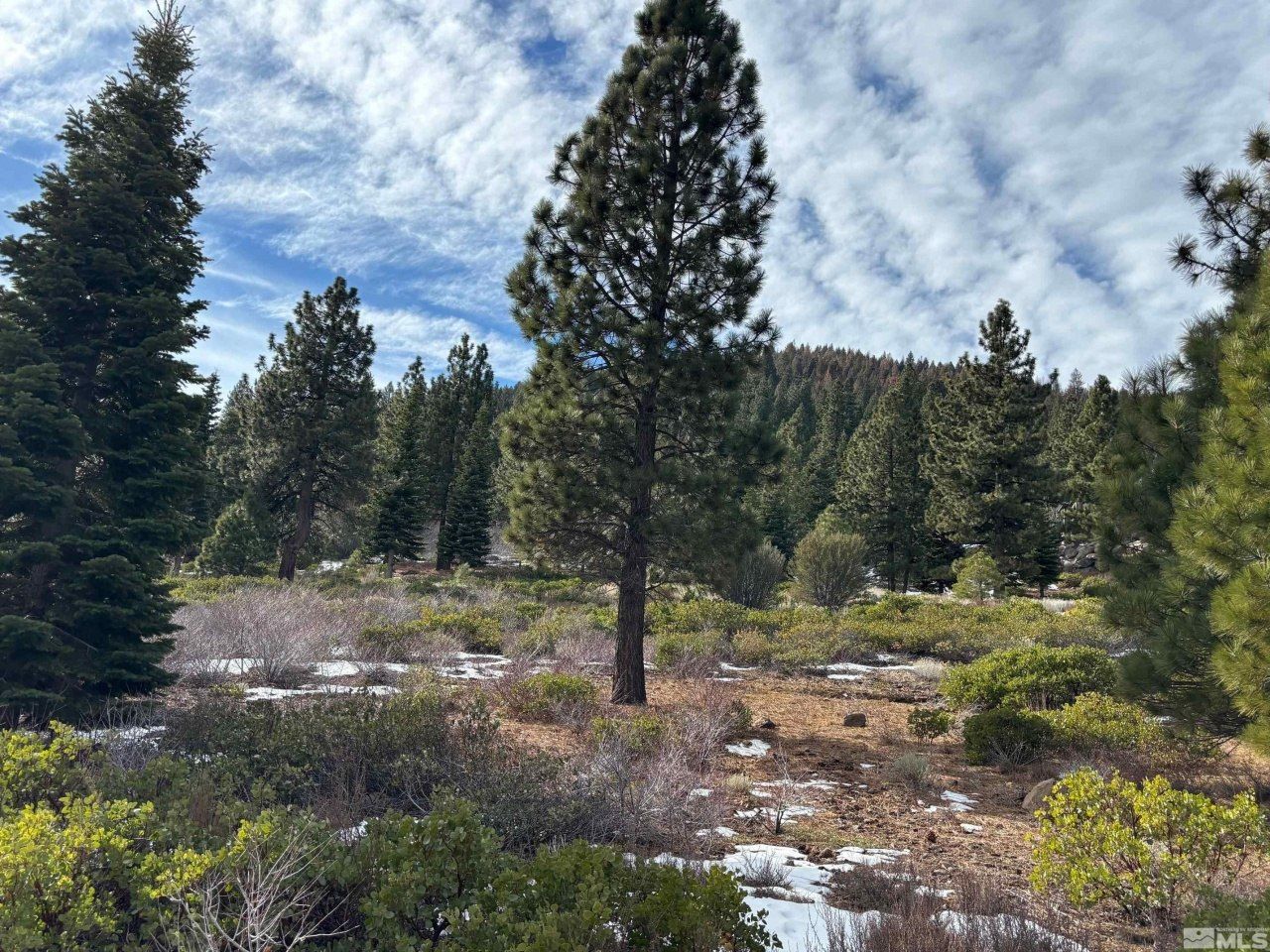 198 S Big Sage Lane, Reno, NV 89511 Photo