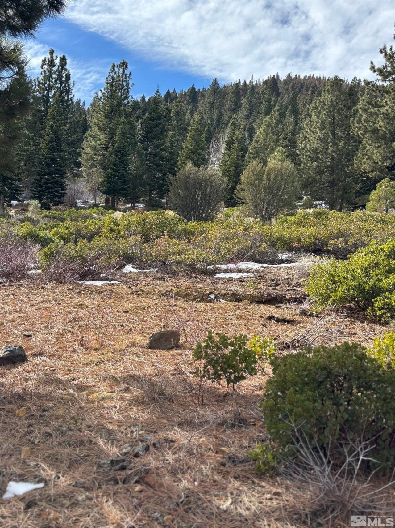 198 S Big Sage Lane, Reno, NV 89511 Photo