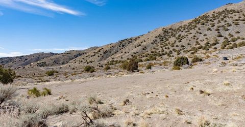 1250 Freds Mountain, Reno, NV 89508 Photo