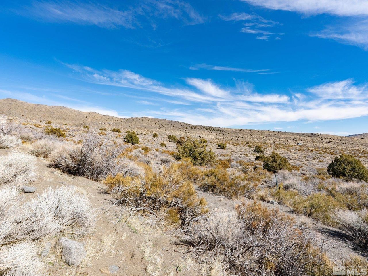 1250 Freds Mountain, Reno, NV 89508 Photo