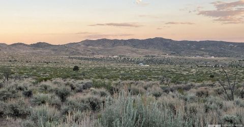 1250 Freds Mountain, Reno, NV 89508 Photo