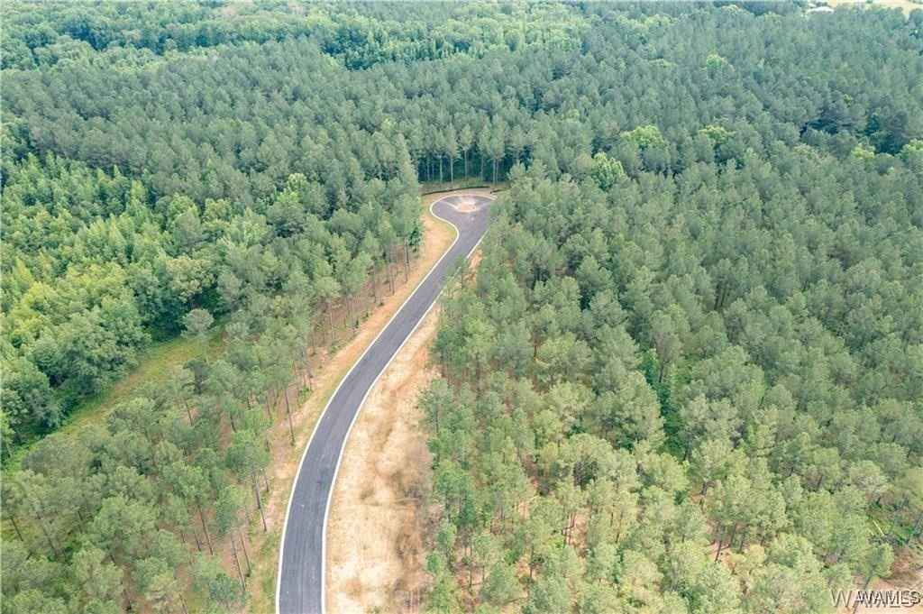 Lot 1 Jc Gilliam Road, Berry, AL 35546 Main Photo