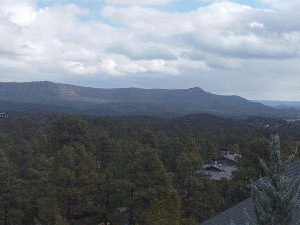 515 N GRAPEVINE Drive, Unit 439, Payson, AZ 85541