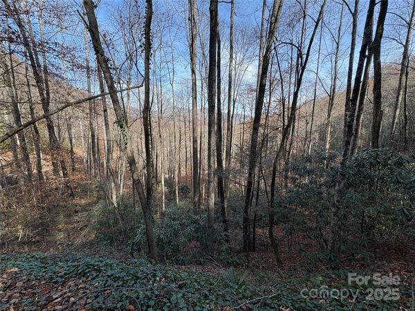 TR 6 Little Bit Trail, Whittier, NC 28789