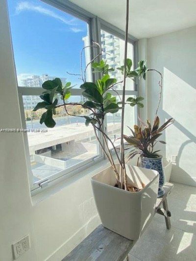 2899 Collins Ave, Unit 548, Miami Beach, FL 33140 Photo
