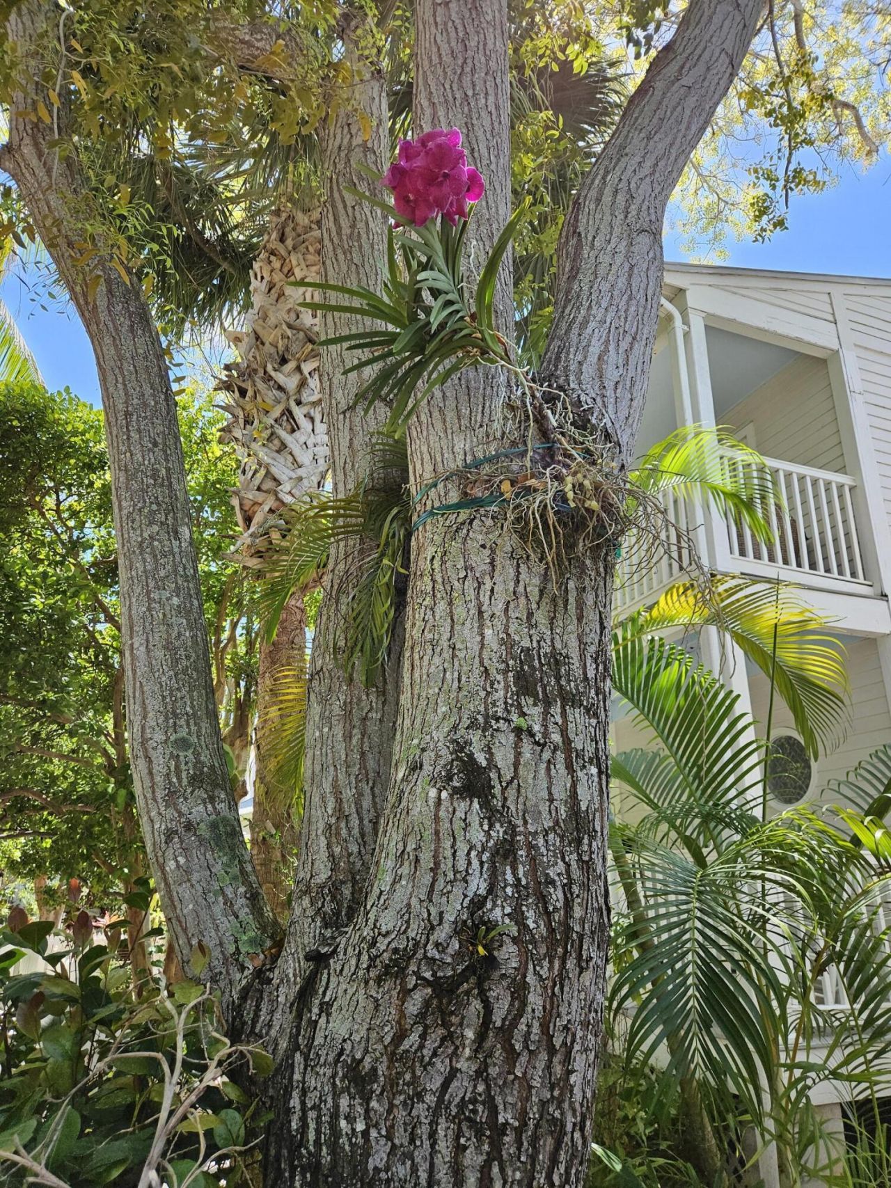 22 Merganser Lane, Key West, FL 33040 Photo