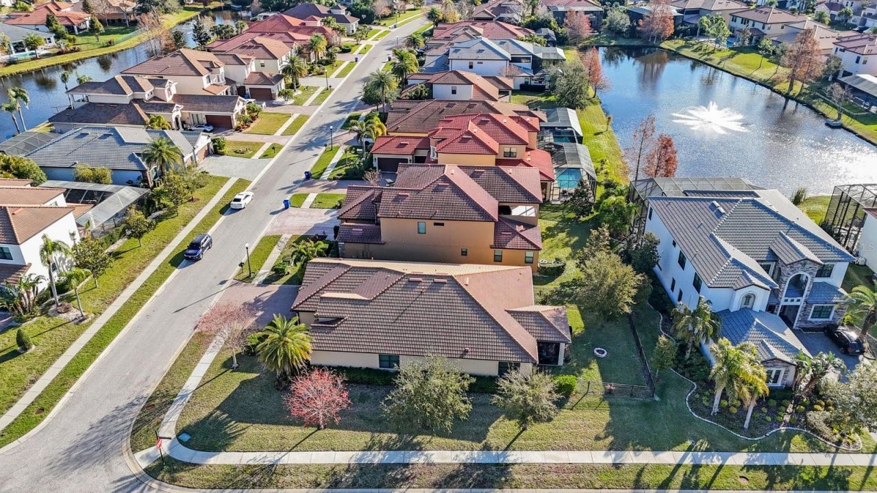 2564 Grand Cypress Boulevard, Palm Harbor, FL 34684 Photo