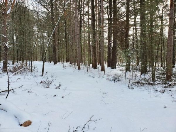 0 N Centerline Road, Brohman, MI 49312