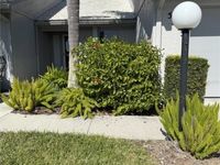 5345 Pamela Wood Way Primary Photo