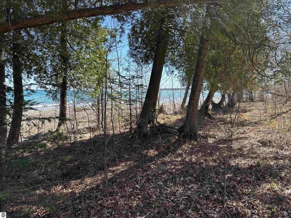 Beaver Island Road, Beaver Island, MI 49782
