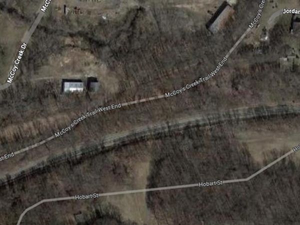 103 W Smith Street, Buchanan, MI 49107