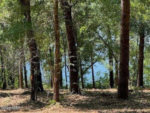 TBD Dove Court, Chipley, FL 32428