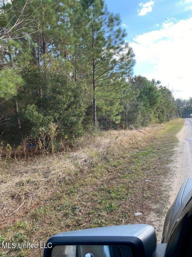 Parcel 2 Shannon Lane, Lucedale, MS 39452 Main Photo
