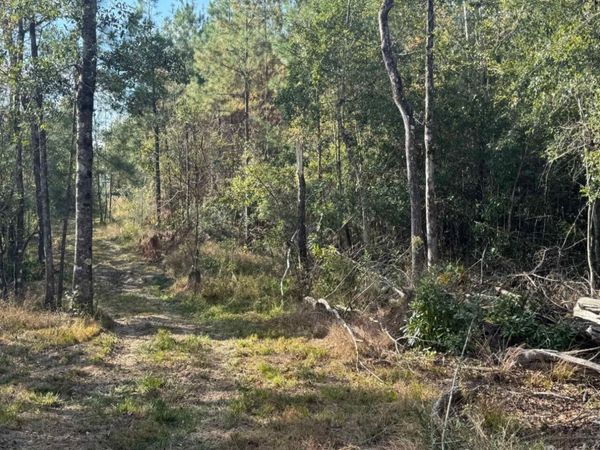 000 J Bailey Rd., Wiggins, MS 39577