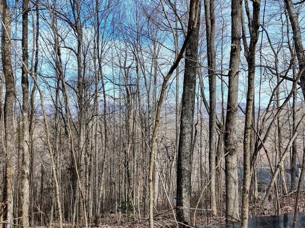 5 Overlook At Y.H., Young Harris, GA 30582