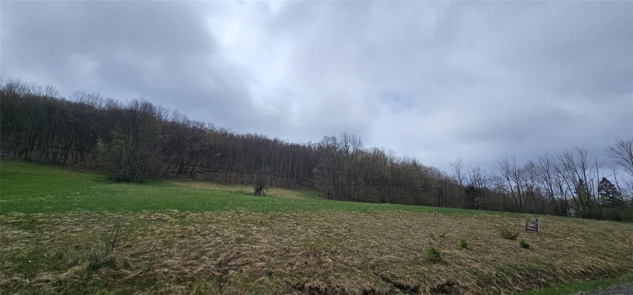 Lot 7.4 Hankins Road, Hankins, NY 12736 Main Photo