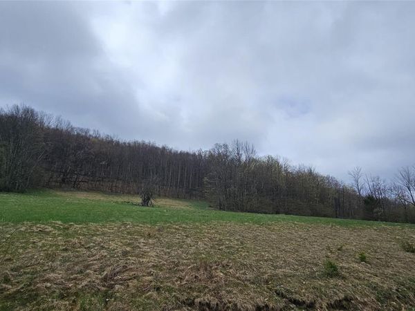 Lot 7.4 Hankins Road, Hankins, NY 12736