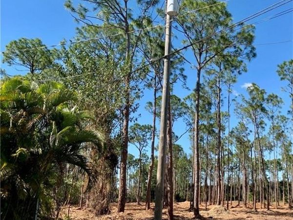 24032 Golden Eagle LN, BONITA SPRINGS, FL 34135